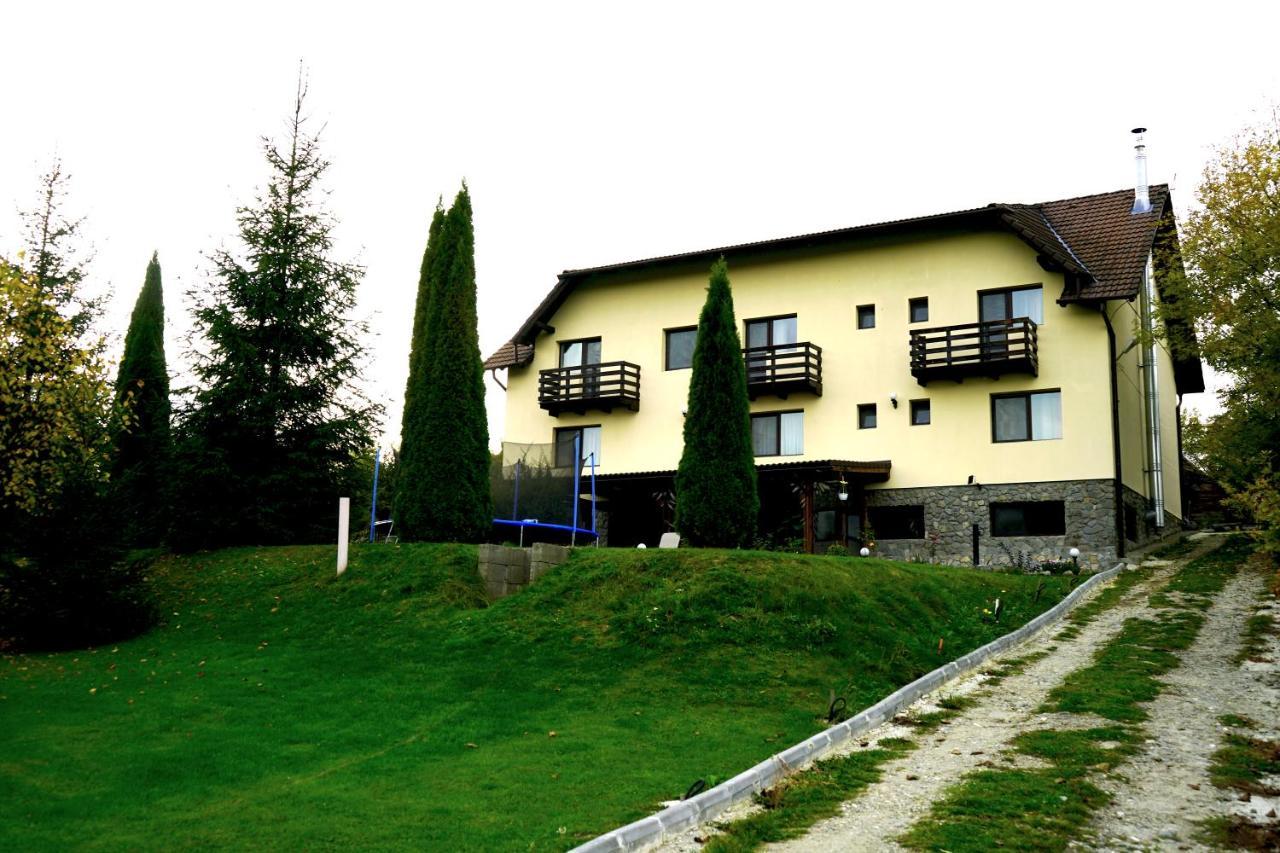 Vila Sohodol Travel Bran  Exterior foto